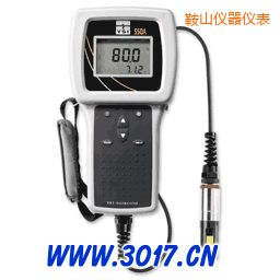 鞍山便攜式溶解氧測(cè)量?jī)x