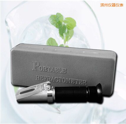 濱州手持式食鹽/鹽度快速測(cè)定儀