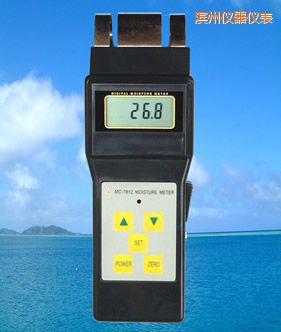 濱州感應(yīng)式水分儀