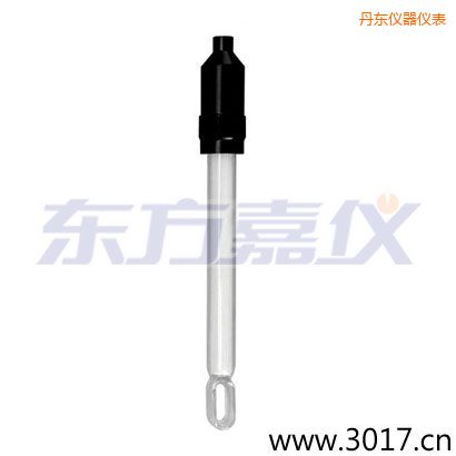 丹東玻璃外殼無溫補(bǔ)兩線電導(dǎo)率電極