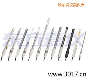 哈爾濱pH電極