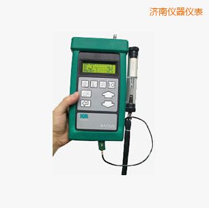 濟(jì)南手持式燃燒效率分析儀