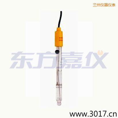 蘭州可填充玻璃管電極