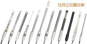 牡丹江電導電極