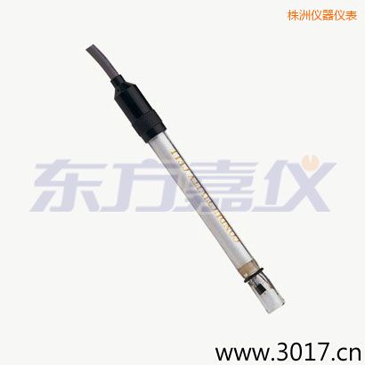 株洲含有溫度的兩線電導(dǎo)率電極